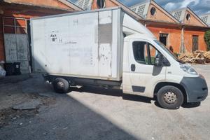 Furgone fiat cassonato con porte dietro