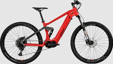 Mountain bike elettrica