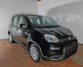 FIAT Panda 1.0 Hybrid 70cv 36 Rate da 177,95