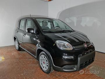 FIAT Panda 1.0 Hybrid 70cv 36 Rate da 177,95