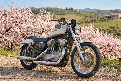 Harley-davidson Sportster XL883L - Kit 1.200 cc