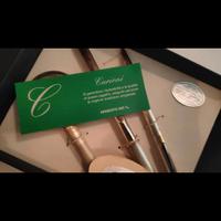 Set penna stilografica lente tagliacarte