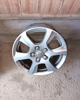 cerchi Audi