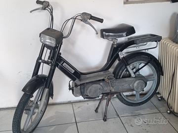 piaggio bravo 