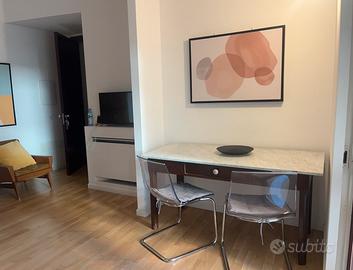 Monolocale C/O V.le Merello. Contratto transitorio