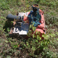Motocoltivatore Goldoni con accessori
