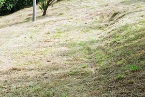 Terreno edificabile zona panoramica