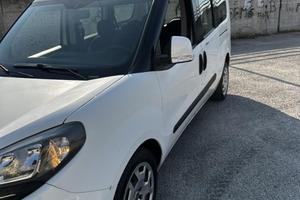 doblo  professional