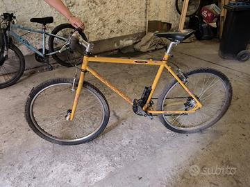 Bicicletta per ragazzo/a