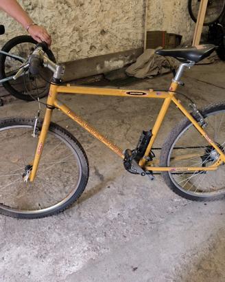 Bicicletta per ragazzo/a