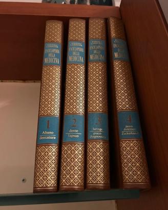 Enciclopedia Rizzoli Larousse