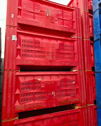 bins plastica