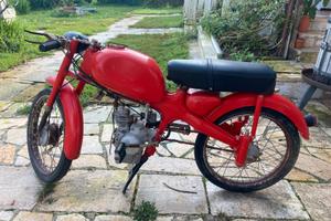 MOTOM 48 Junior Sport