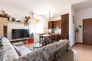 4 Locali Open Space con Box, Cantina e Balcone