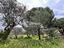 Immagine 15