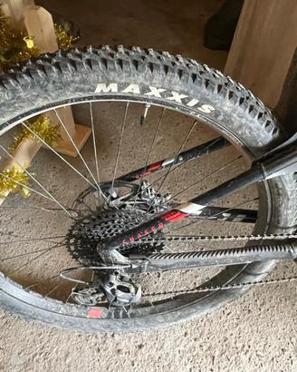 Bicicletta elettrica
