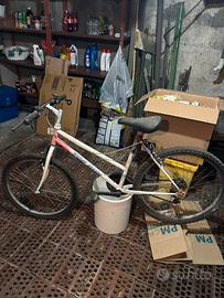 Bicicletta