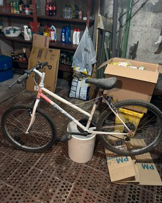 Bicicletta