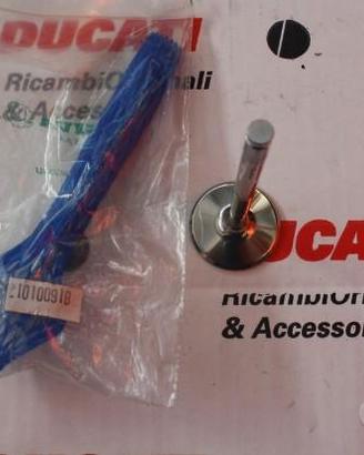 Valvola Asp. D.36 X Ducati 888 Racing/93 21010091B