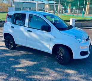 FIAT PANDA 2021