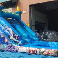 Scivolo gonfiabile acquatico - gonfiabili acqua