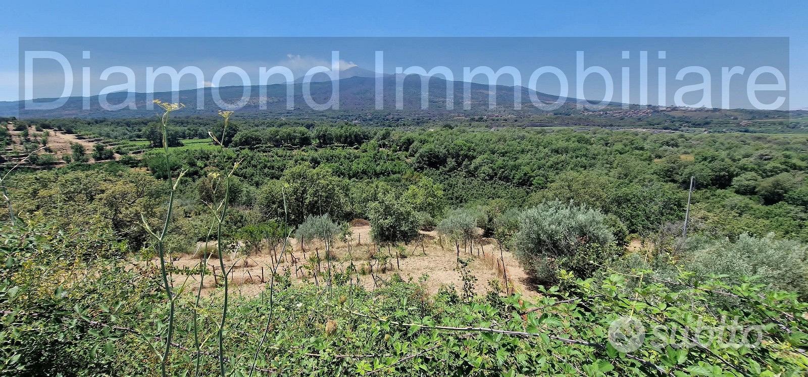 Terreno agricolo 7,5 ettari Castiglione di Sicilia - Vista 5