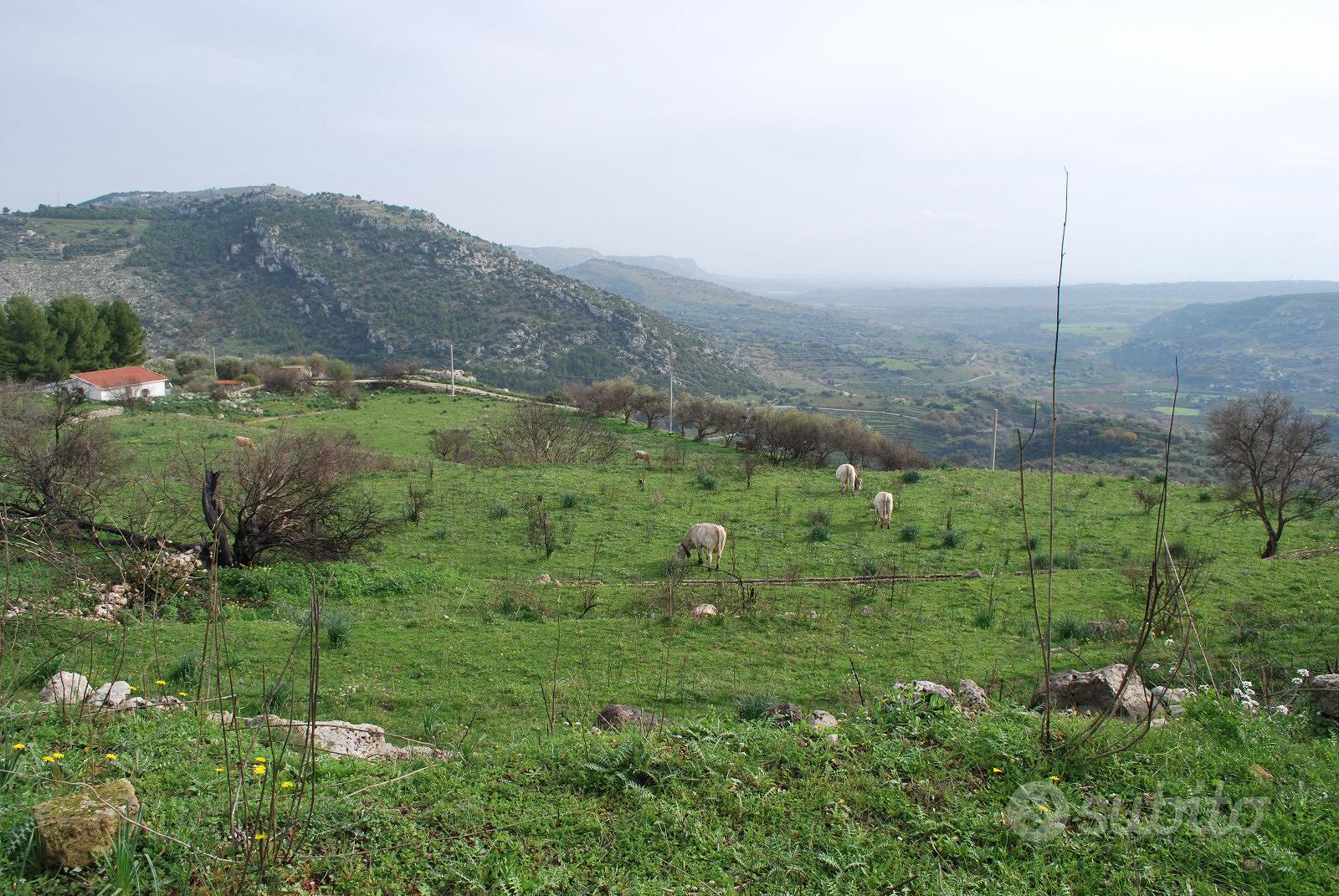 Terreno agricolo - Vista 4