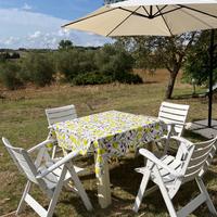 Tavolo da giardino con quattro sedie