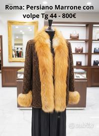 Persiano Marrone con Volpe tg 44