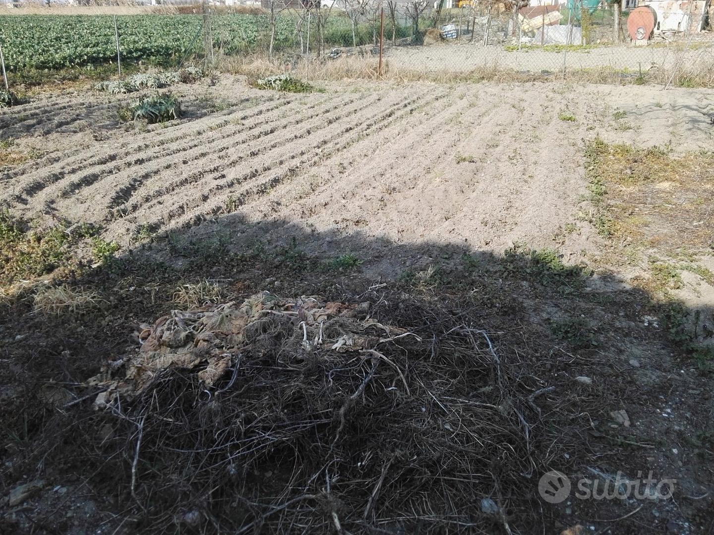 I terreno con rustico a ravalle - ferrara - Vista 4