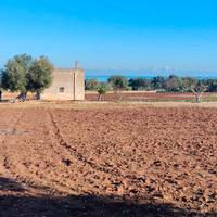 CASETTA rurale 3 km dal mare+TERRENO_R.ibass.o