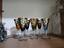 Immagine 4