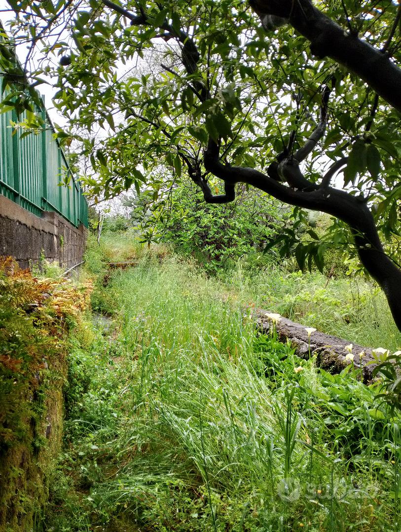 Centro Rustico ristrutturato con terreno - Altro