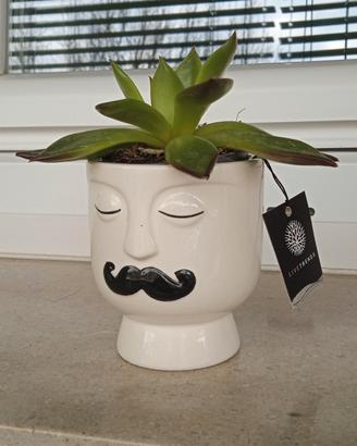 Vasetto baffo magnetico, con piantina 