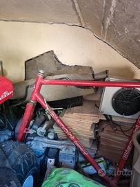 Telaio BIanchi