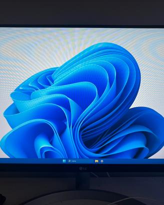 Monitor LG