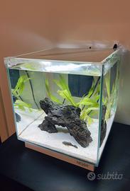 Acquario Newa 20 L