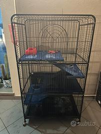 Gabbia grande x uccelli o roditori