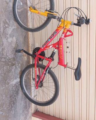 bici ragazzo 