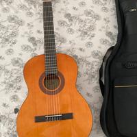 Chitarra acustica Eko