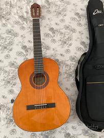 Chitarra acustica Eko