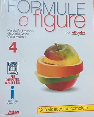 Libro scolastico Formule e figure Vol.4