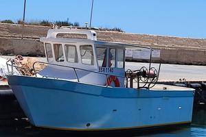 Barca da Pesca nuova costruzione con licenza