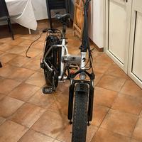 Bicicletta elettrica lion 2024