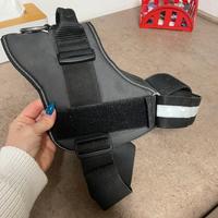 Pettorina Jiulis K9 taglia 3