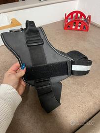 Pettorina Jiulis K9 taglia 3