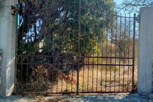 Terreno - ossi, regione corte e lottene