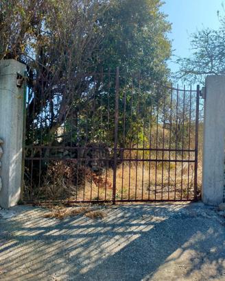 Terreno - ossi, regione corte e lottene