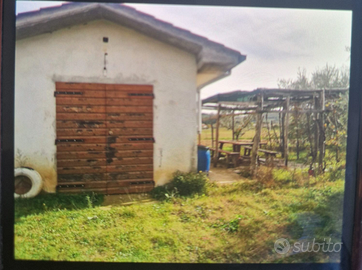 Terreno agricolo zona montelupo fiorentino