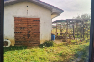 Terreno agricolo zona montelupo fiorentino